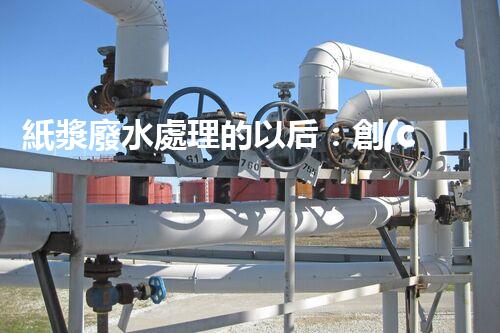 紙漿廢水處理的以后：創(chuàng)新技術與生態(tài)平衡？